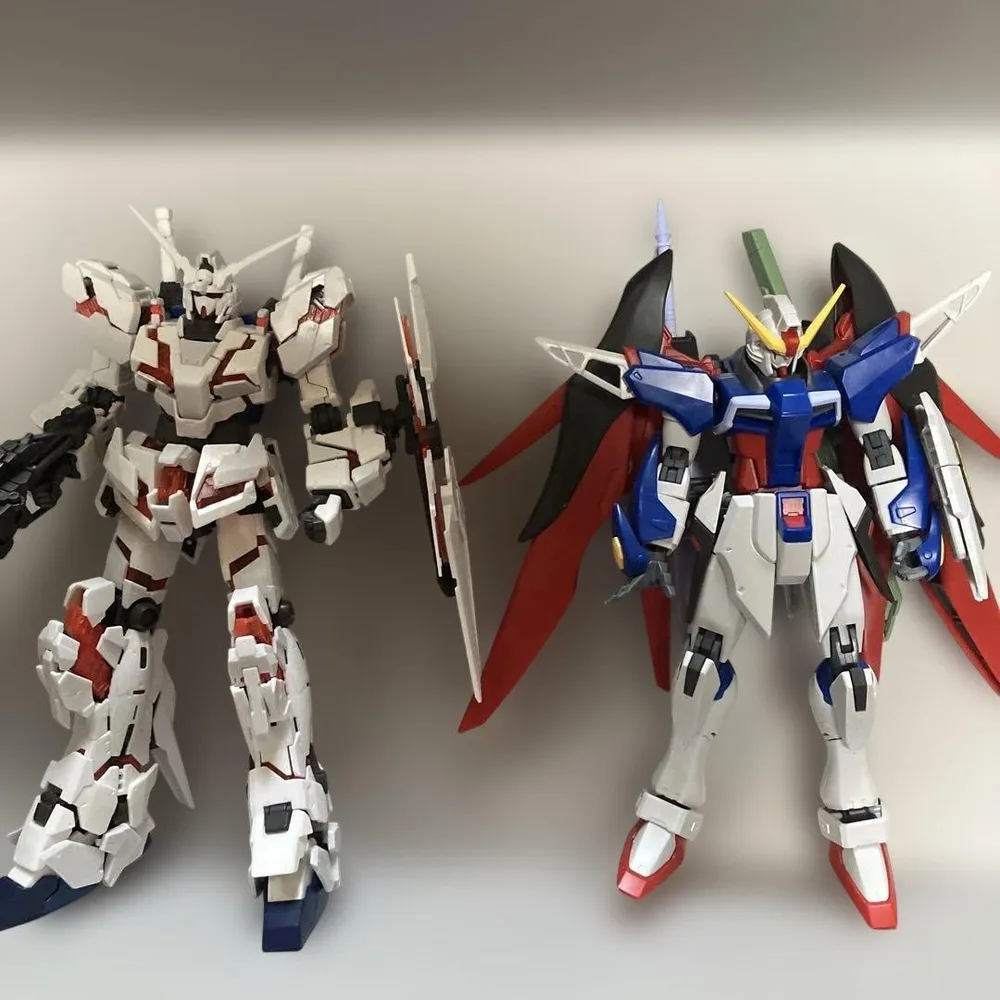 RG Unicorn Gundam HG Destiny กันดั้มขยะ