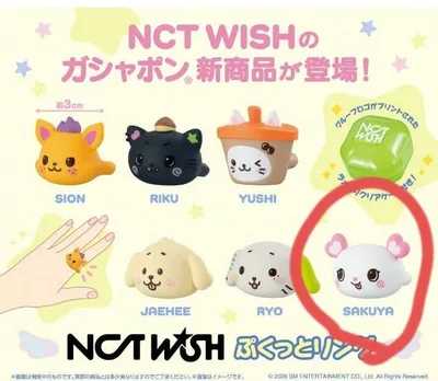 NCT WISH ぷくっとリング