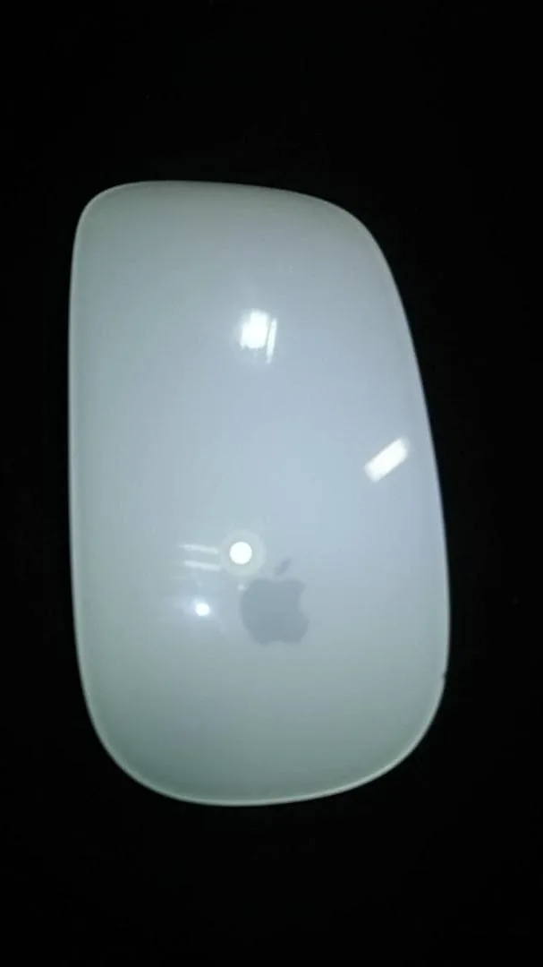 ジャンク apple magic mouse