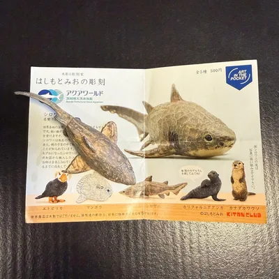 はしもとみおの彫刻「シロワニ」