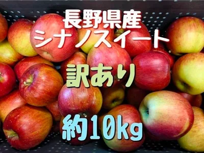 長野県産りんごシナノスイート訳あり10kg