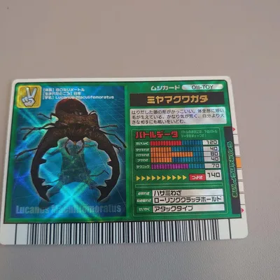 甲虫王者ムシキング ミヤマクワガタ ムシカード