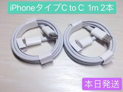 1m 2本iPhone16充電器タイプC toタイプC Apple純正品質
