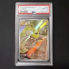 PSA10 ワンパチ AR
