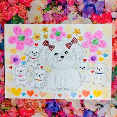 イラスト 手描き マルチーズ