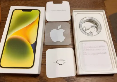 Apple iPhone 17plus本体なし 付属品 空箱 充電ケーブル