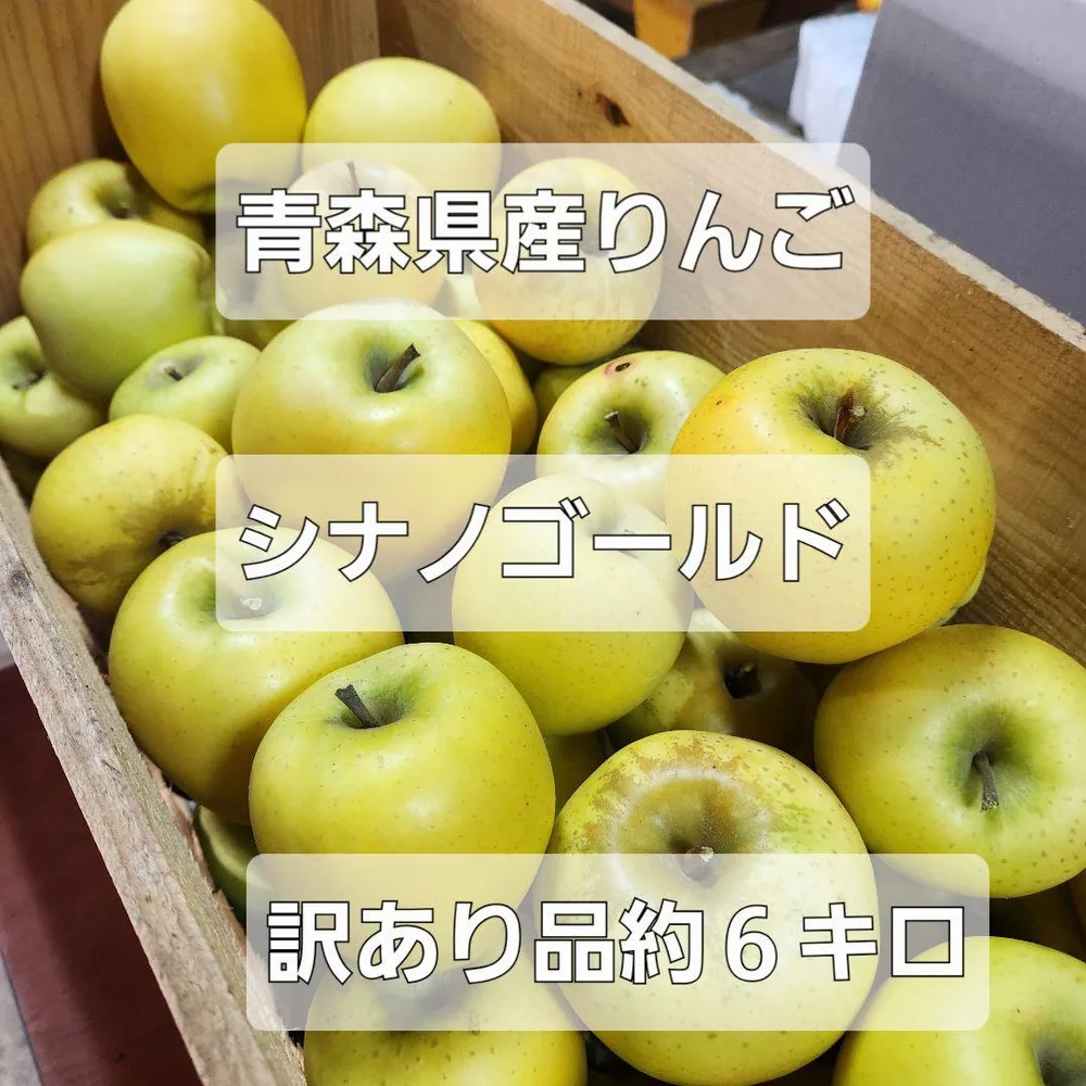 青森県産 シナノゴールド 訳あり品 約6kg