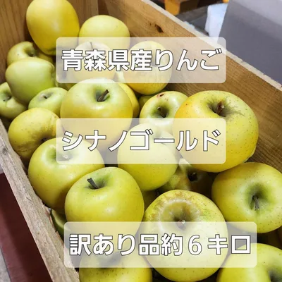 青森県産 シナノゴールド 訳あり品 約6kg