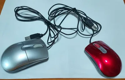 iBUFFALO USBマウス 2個セット