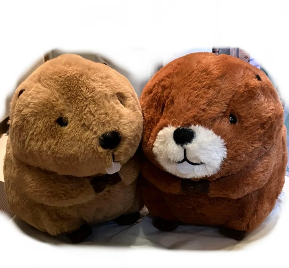むっちりビーバーたっち ぬいぐるみ 2体セット