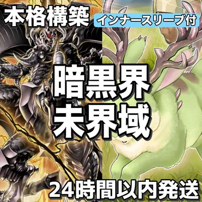 D1-45 暗黒界 未界域 構築済みデッキ おまけパーツ付 23