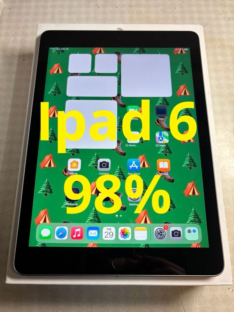 Apple iPad 第6世代 バッテリー98%
