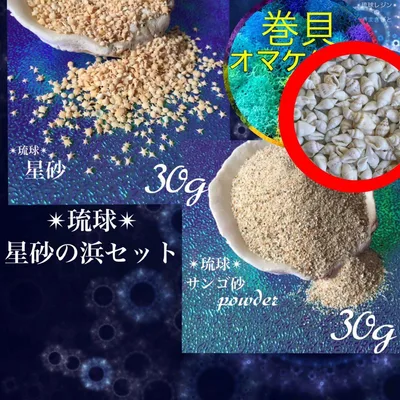 琉球*海のたね 星砂の浜 セット 星砂 星の砂 サンゴ砂 レジン用品