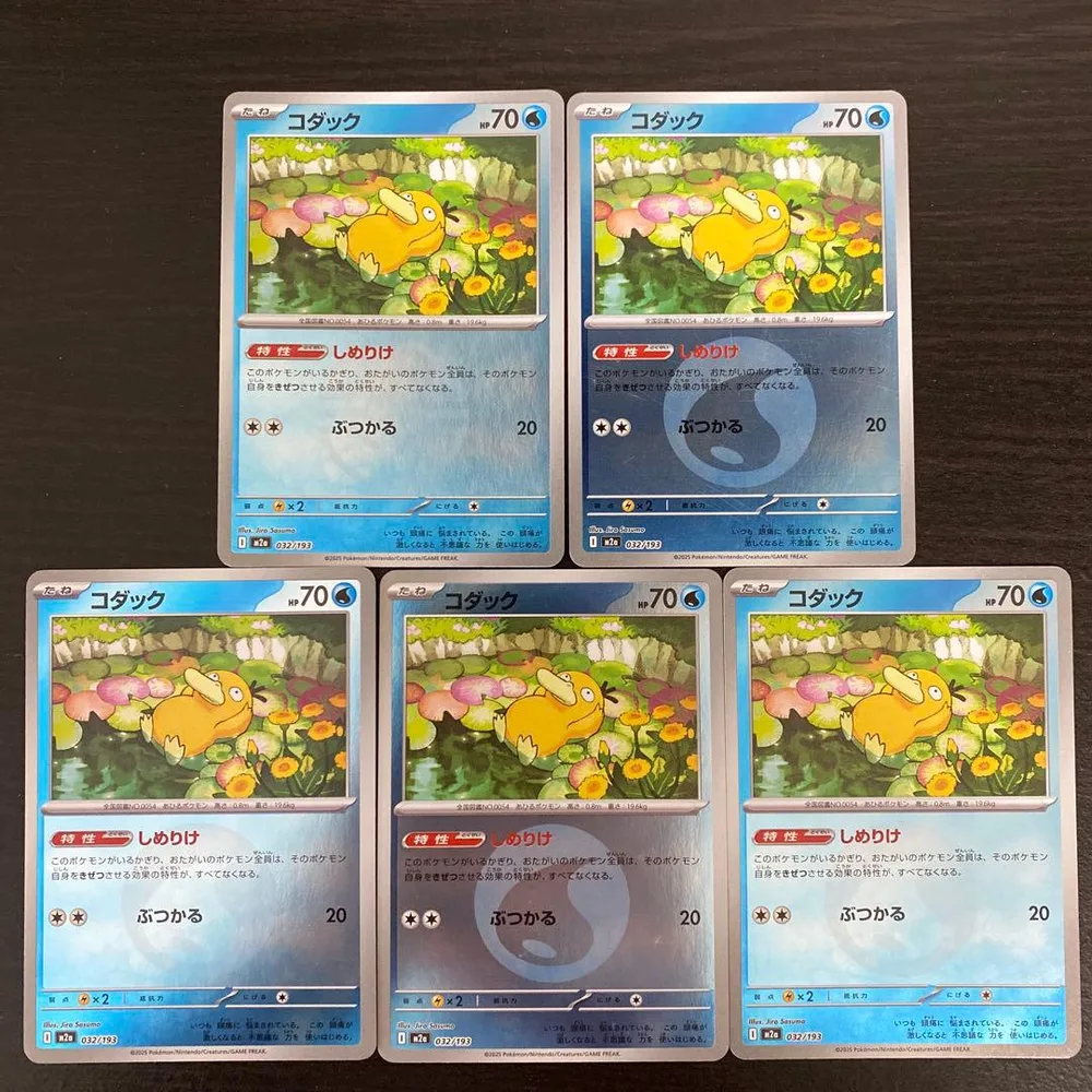 コダック 5枚
