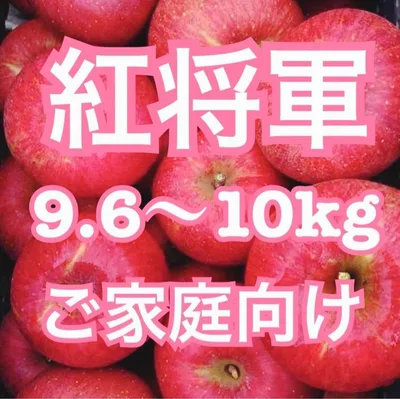 朝もぎ新鮮りんご 紅将軍 10kg ご家庭向け