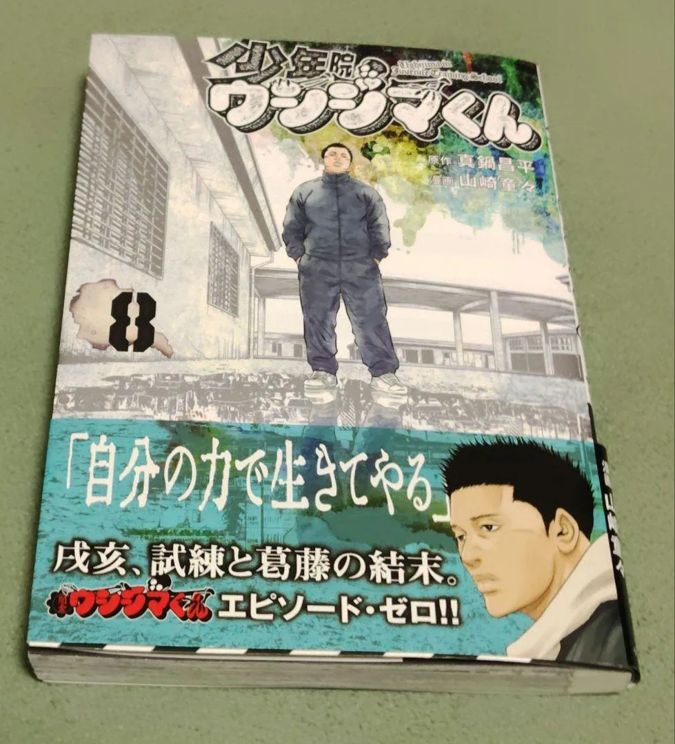 少年院ウシジマくん 8巻