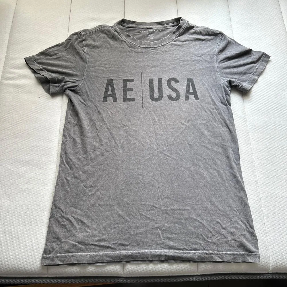 AMERICAN EAGLE クルーネック Tシャツ グレー