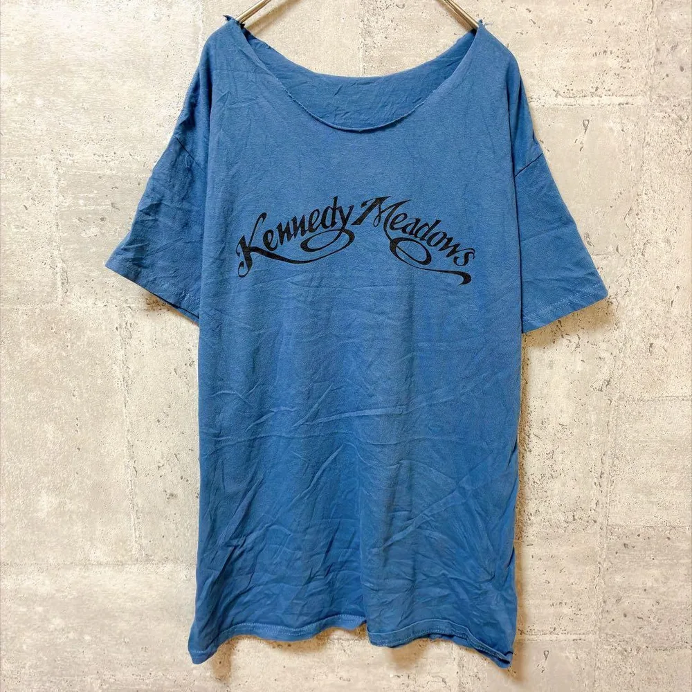 ヴィンテージ 半袖Tシャツ ワイドネック プリント XL 青 綿 デイリー