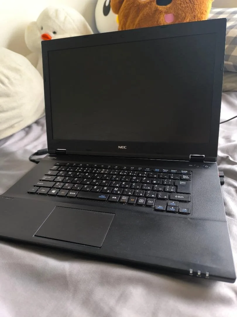 NEC VersaPro