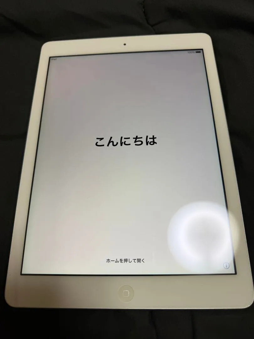Apple iPad Air 第1世代 本体 2013年 32GB 動作確認済み