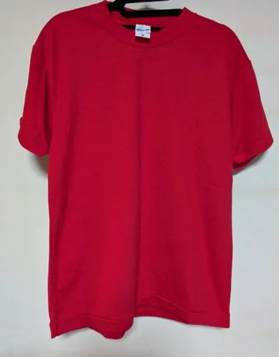 Printstar Tシャツ Mサイズ メンズ 赤