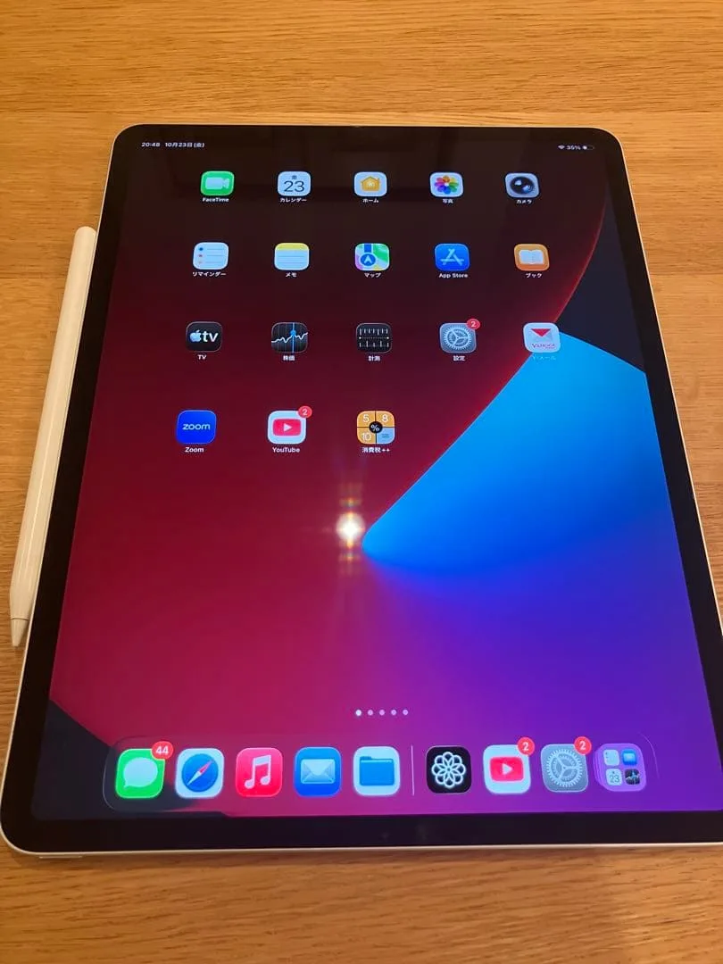 i Pad Pro 12.9インチ 256GB (第4世代) 中古美品