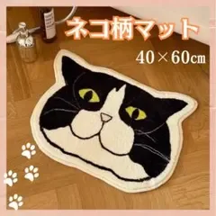 ねこ柄マット 猫 ペット 玄関 お風呂 マット 40×60㎝ リビング 寝床