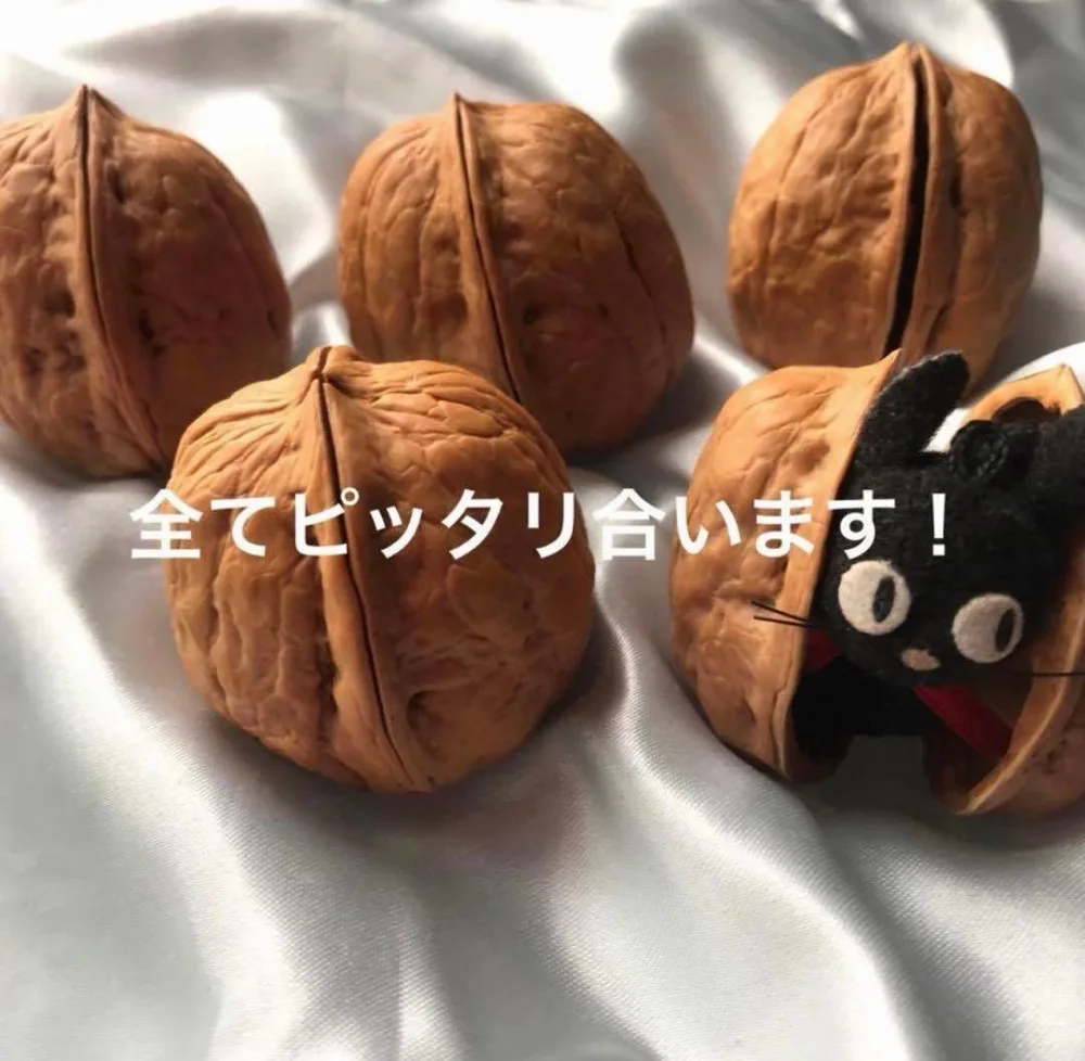 くるみの殻 クルミの殻 胡桃の殻 5組 ハンドメイド資材