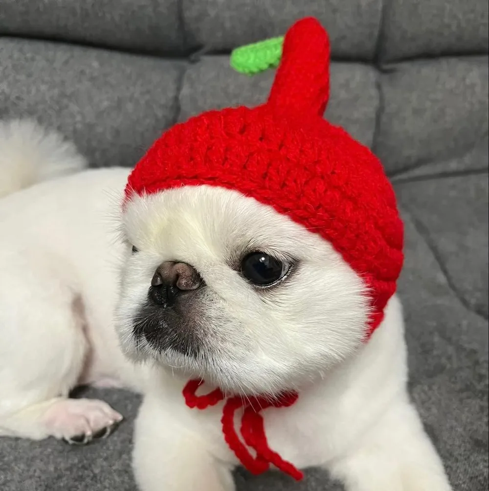 ピクミン風ペット用帽子 ハンドメイド
