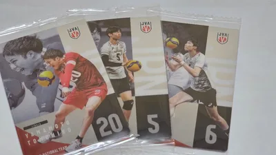 バレーボール 日本代表 カード 3枚セット 山本 大塚 山内