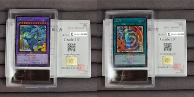 ARS10+ WCS2026 青眼の究極竜 融合 鑑定書付 浮世絵 セット