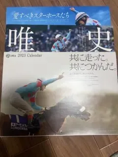 3冊 JRA 2023 2024 2025カレンダー 競馬 名馬