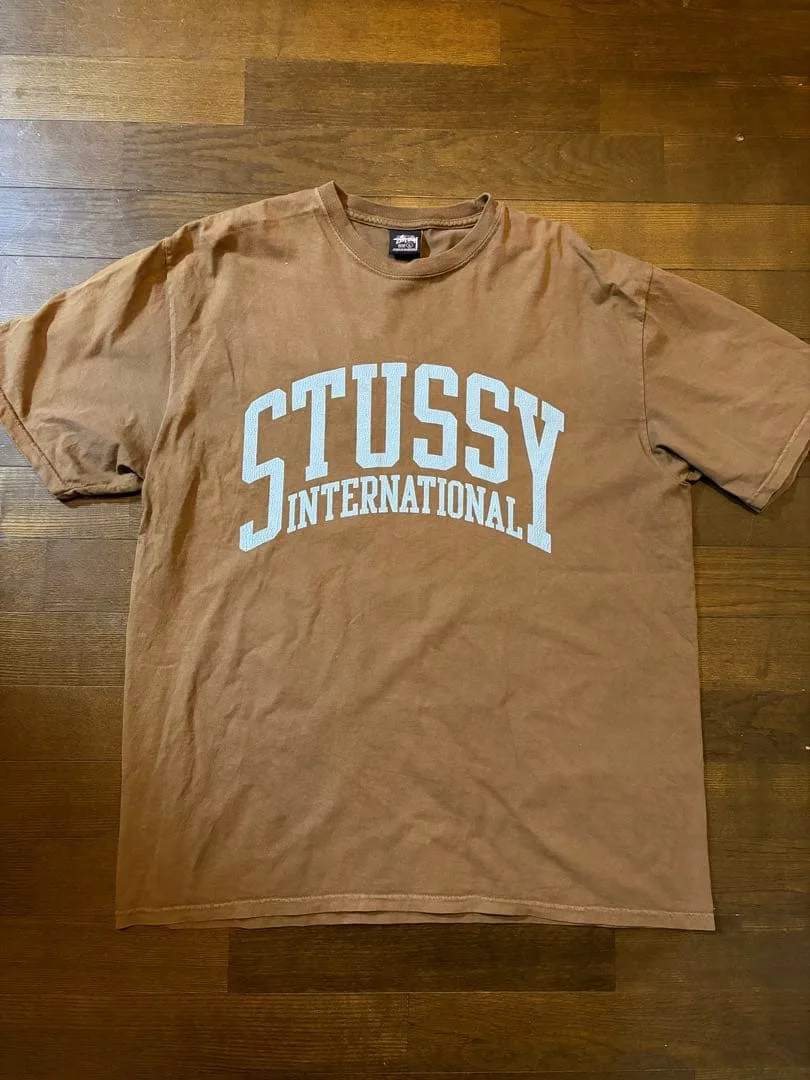 Stussy メンズ Tシャツ ブラウン L