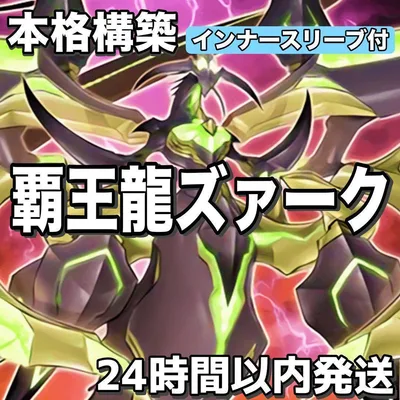 D2-72 覇王龍ズァーク 本格構築 構築済みデッキ 24