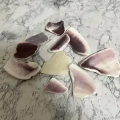 貝殻の破片 シーグラス風 ハンドメイド素材 10個セット
