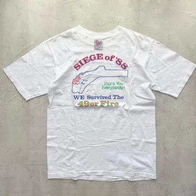 【ONEITA】90s USコットン POWER-T シングルステッチ Lサイズ