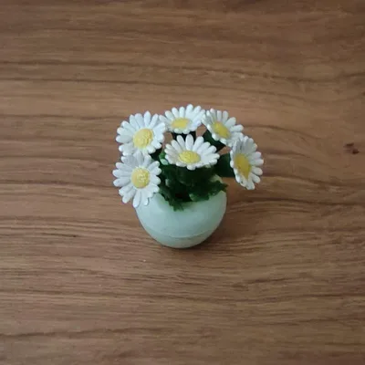 シルバニア 花 マーガレット
