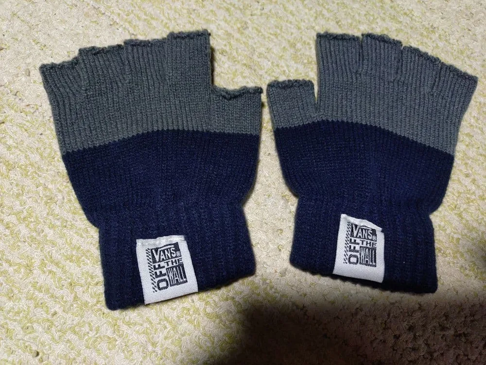 希少品 VANS 手袋 付録