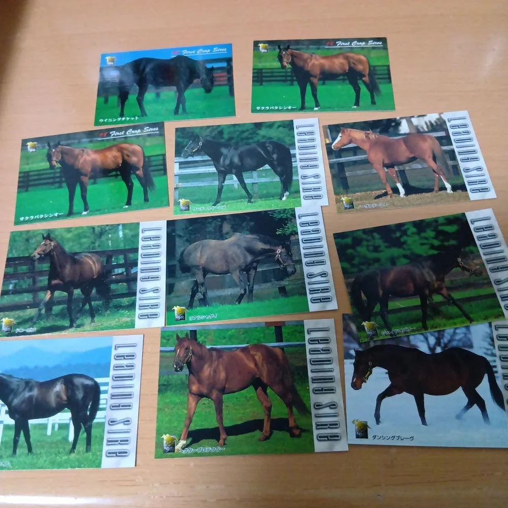 競馬 トレーディングカード 種牡馬 サンデーサイレンス ノーザンテースト