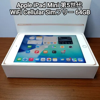 (美品) iPad Mini 第5世代 WiFi Simフリー 64GB