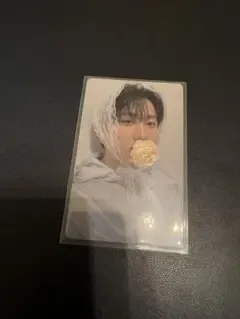 Stray Kids チャンビン トレカ 会場限定