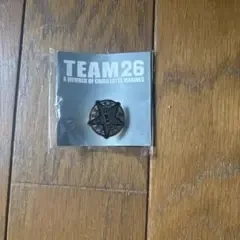 千葉ロッテマリーンズ TEAM26 ピンバッジ