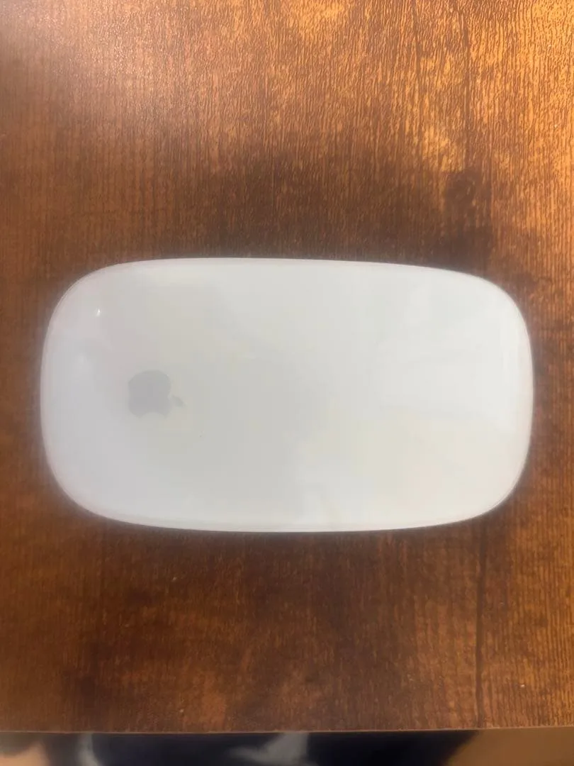 Apple Magic Mouse