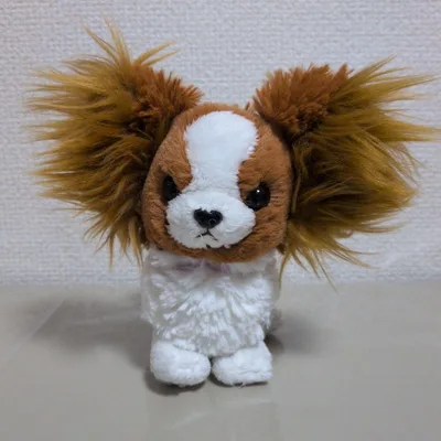 サンレモン オリジナル パプス ぬいぐるみ 犬 パピヨン