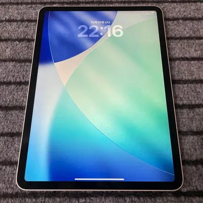 44 iPad Pro 11 1世代 256GB Wi-Fi シルバー