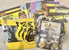 阪神タイガース グッズセット まとめ売り タオルクリアファイルチケットDVD