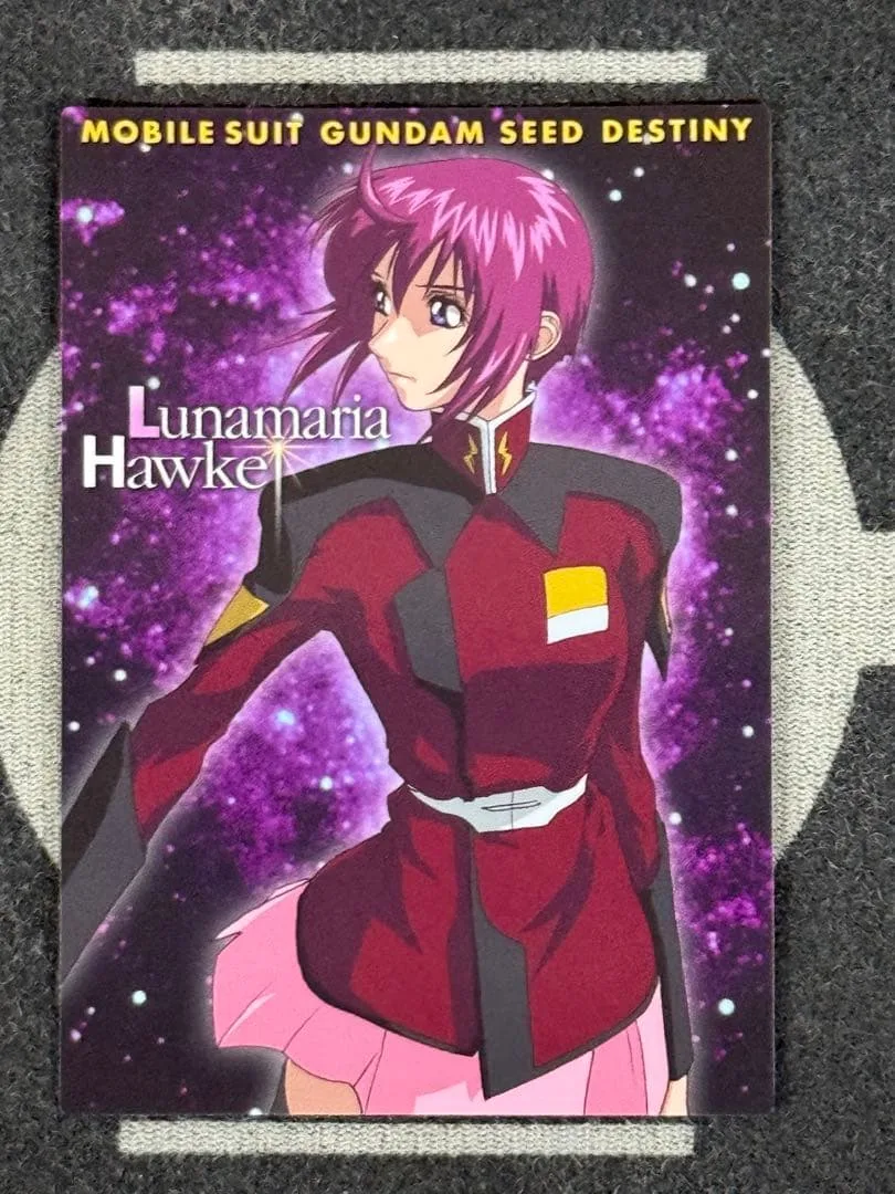 機動戦士ガンダムSEED DESTINY カードダス 29