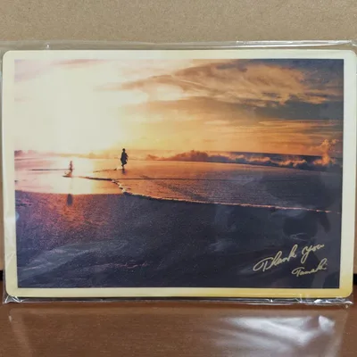 玉木宏さん マウスパッド 海岸風景 未使用