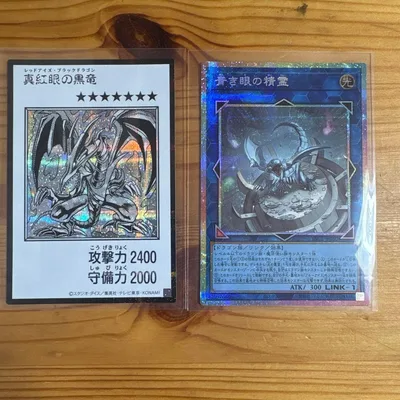 遊戯王OCG 真紅眼の黒竜 蒼き眼の精霊 2枚セット