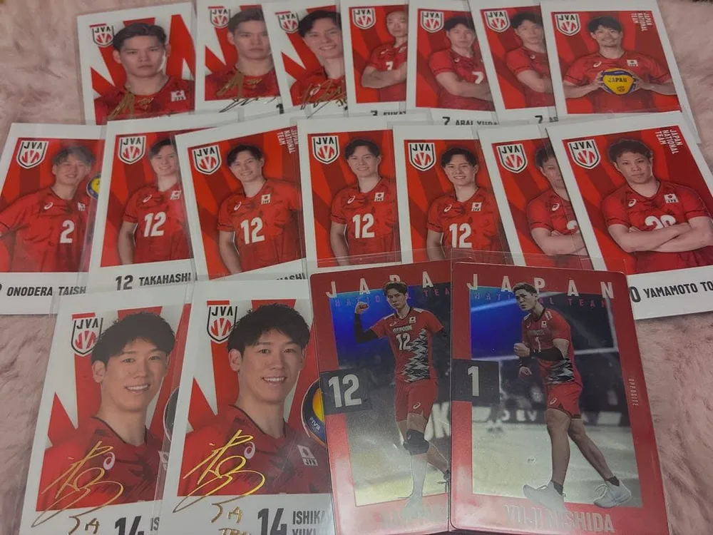 バレーボール 日本代表 トレーディングカード 18枚セット